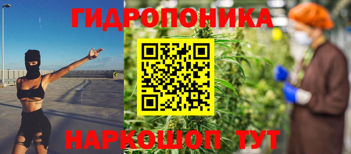 Бошки Шишки MAZAR  Бошки марихуана сатива  Ирбит  Вход с VPN 